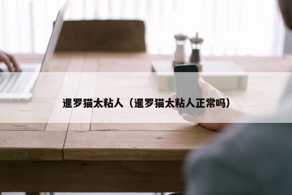 暹罗猫太粘人（暹罗猫太粘人正常吗）