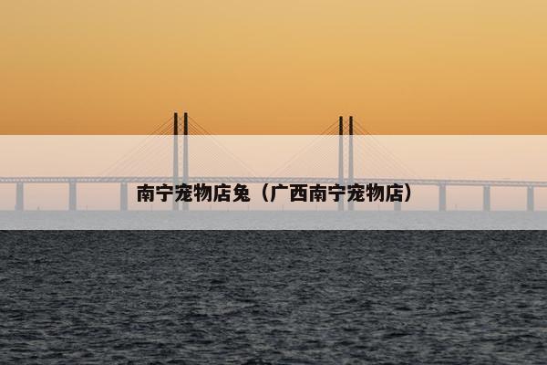 南宁宠物店兔（广西南宁宠物店）