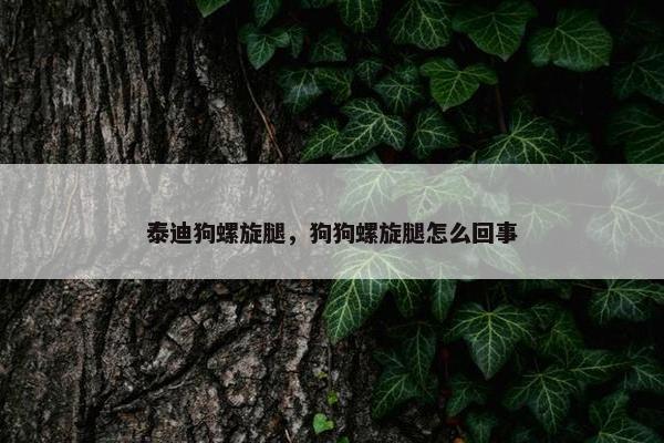泰迪狗螺旋腿，狗狗螺旋腿怎么回事