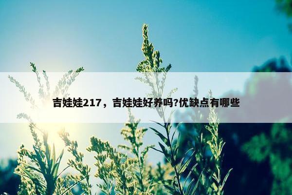 吉娃娃217，吉娃娃好养吗?优缺点有哪些