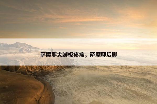 萨摩耶犬脚板疼痛，萨摩耶后脚