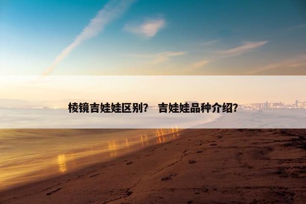 棱镜吉娃娃区别？ 吉娃娃品种介绍？