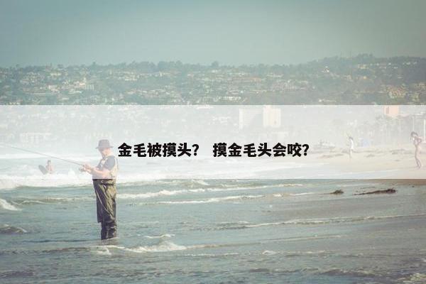 金毛被摸头？ 摸金毛头会咬？