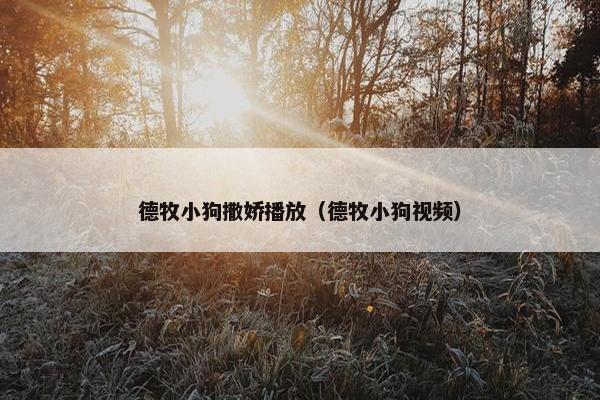 德牧小狗撒娇播放（德牧小狗视频）