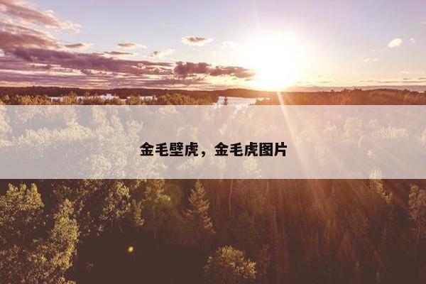 金毛壁虎，金毛虎图片