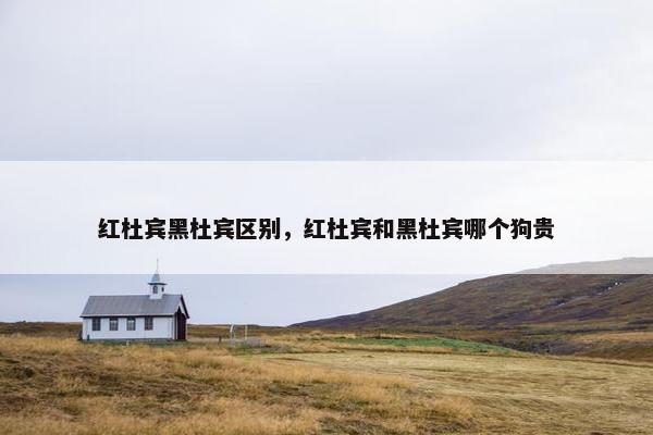 红杜宾黑杜宾区别，红杜宾和黑杜宾哪个狗贵