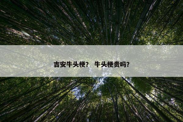 吉安牛头梗？ 牛头梗贵吗？