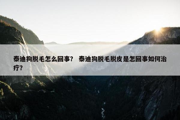 泰迪狗脱毛怎么回事？ 泰迪狗脱毛脱皮是怎回事如何治疗？