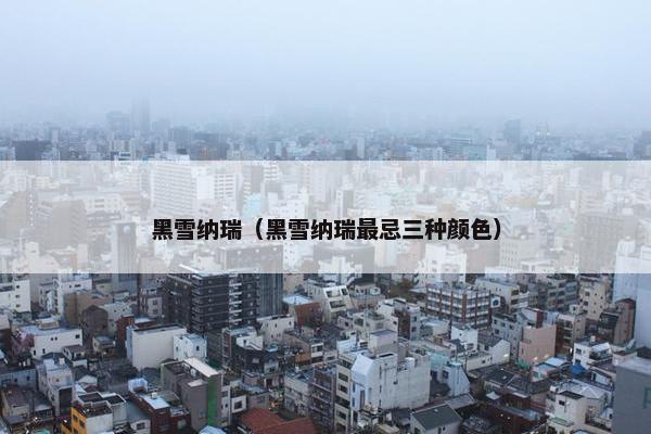 黑雪纳瑞（黑雪纳瑞最忌三种颜色）
