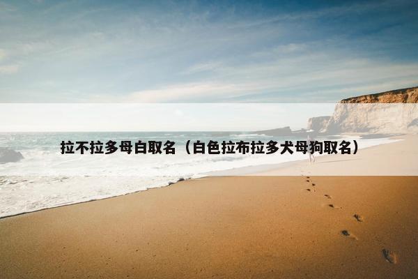 拉不拉多母白取名（白色拉布拉多犬母狗取名）