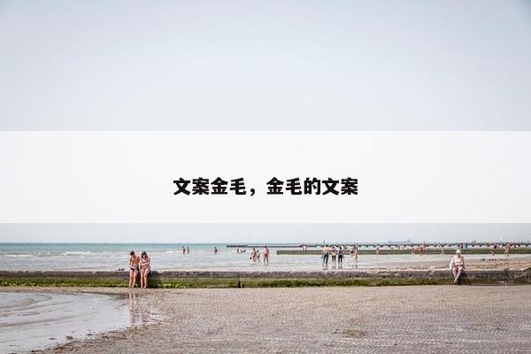 文案金毛，金毛的文案