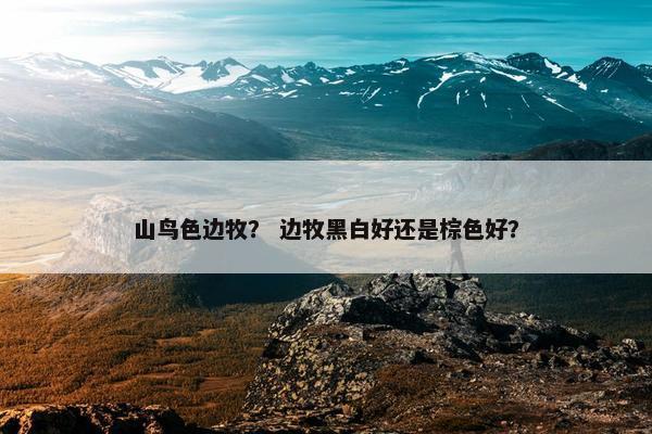 山鸟色边牧？ 边牧黑白好还是棕色好？