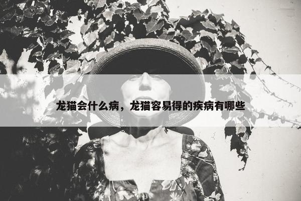 龙猫会什么病，龙猫容易得的疾病有哪些