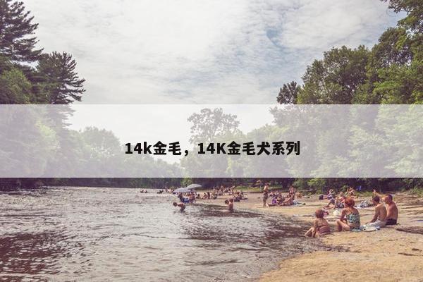 14k金毛，14K金毛犬系列
