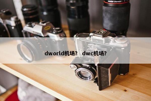 dworld机场？ dwc机场？