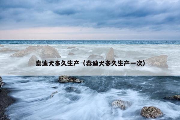 泰迪犬多久生产（泰迪犬多久生产一次）
