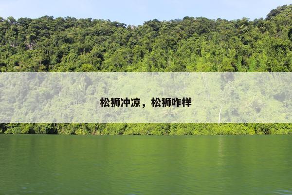 松狮冲凉，松狮咋样