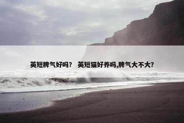 英短脾气好吗？ 英短猫好养吗,脾气大不大？