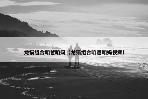 龙猫组合咱爸咱妈（龙猫组合咱爸咱妈视频）