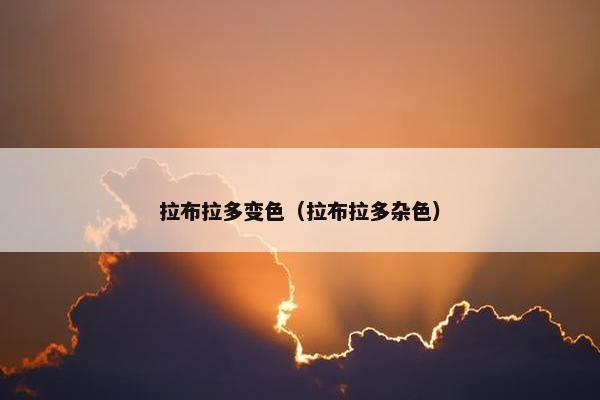 拉布拉多变色（拉布拉多杂色）