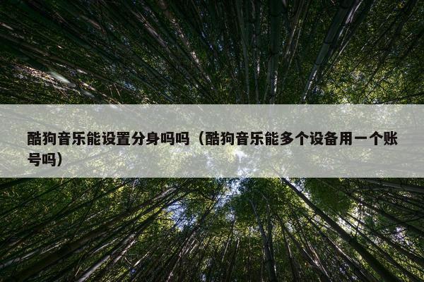 酷狗音乐能设置分身吗吗（酷狗音乐能多个设备用一个账号吗）