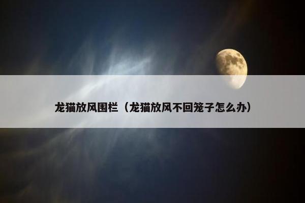 龙猫放风围栏（龙猫放风不回笼子怎么办）