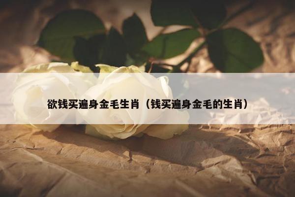 欲钱买遍身金毛生肖（钱买遍身金毛的生肖）