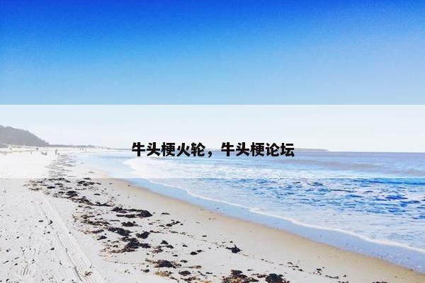 牛头梗火轮，牛头梗论坛