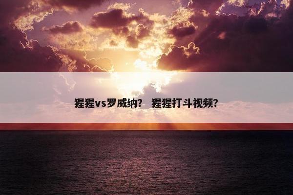 猩猩vs罗威纳？ 猩猩打斗视频？