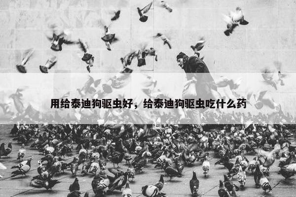 用给泰迪狗驱虫好，给泰迪狗驱虫吃什么药