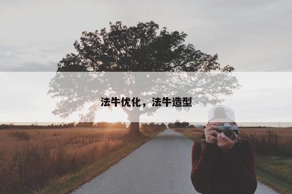 法牛优化，法牛造型