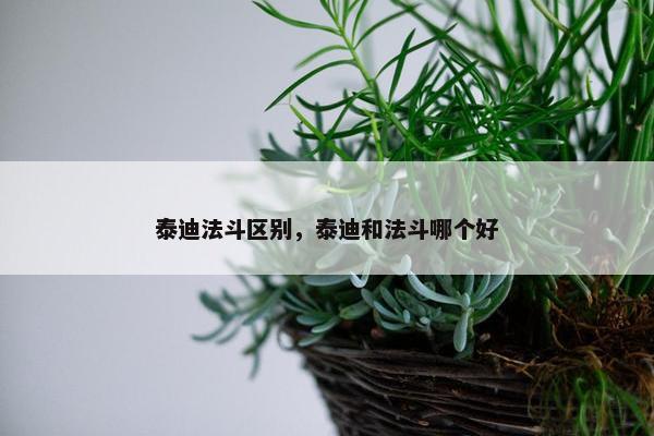 泰迪法斗区别，泰迪和法斗哪个好