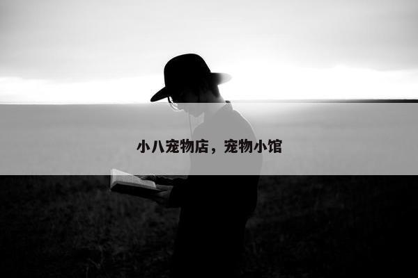 小八宠物店，宠物小馆