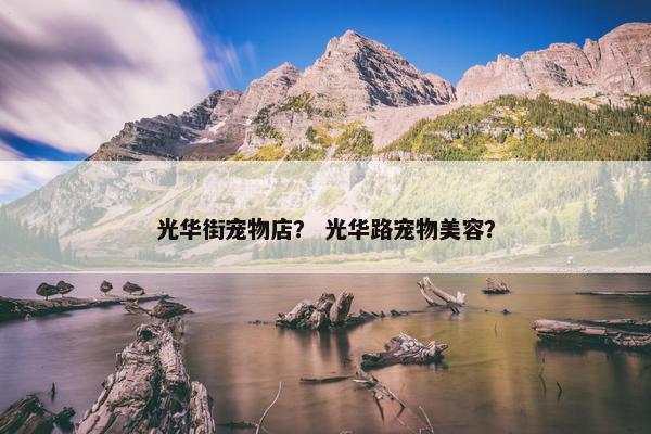 光华街宠物店？ 光华路宠物美容？