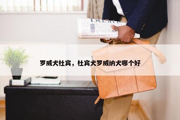 罗威犬杜宾，杜宾犬罗威纳犬哪个好