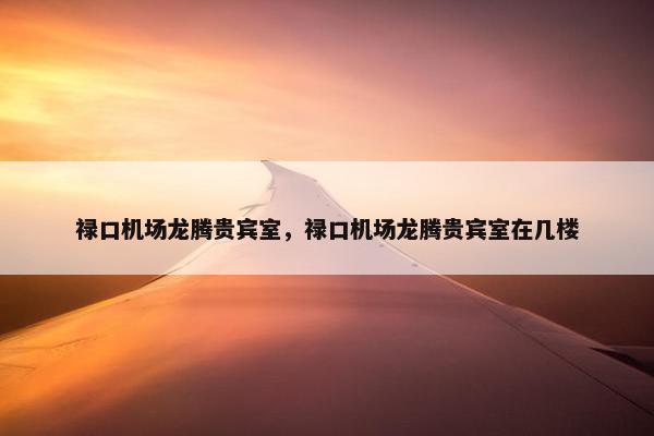 禄口机场龙腾贵宾室，禄口机场龙腾贵宾室在几楼