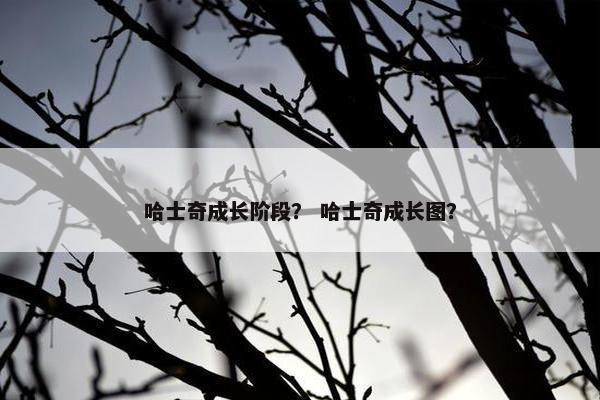 哈士奇成长阶段？ 哈士奇成长图？