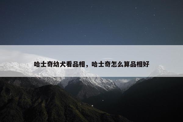 哈士奇幼犬看品相，哈士奇怎么算品相好
