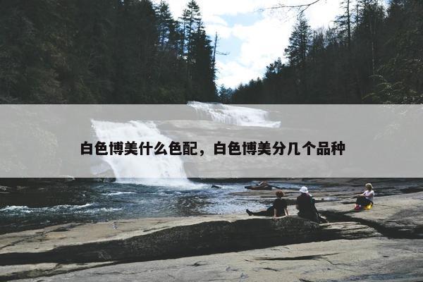白色博美什么色配，白色博美分几个品种