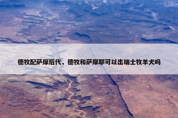 德牧配萨摩后代，德牧和萨摩耶可以出瑞士牧羊犬吗