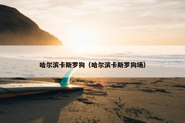 哈尔滨卡斯罗狗（哈尔滨卡斯罗狗场）