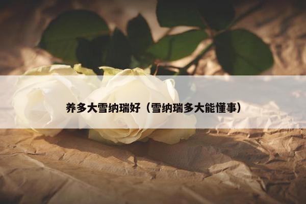 养多大雪纳瑞好（雪纳瑞多大能懂事）