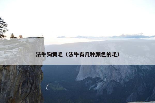 法牛狗黄毛（法牛有几种颜色的毛）