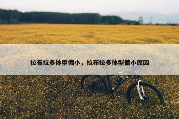 拉布拉多体型偏小，拉布拉多体型偏小原因