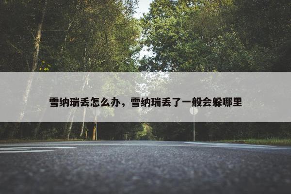 雪纳瑞丢怎么办，雪纳瑞丢了一般会躲哪里
