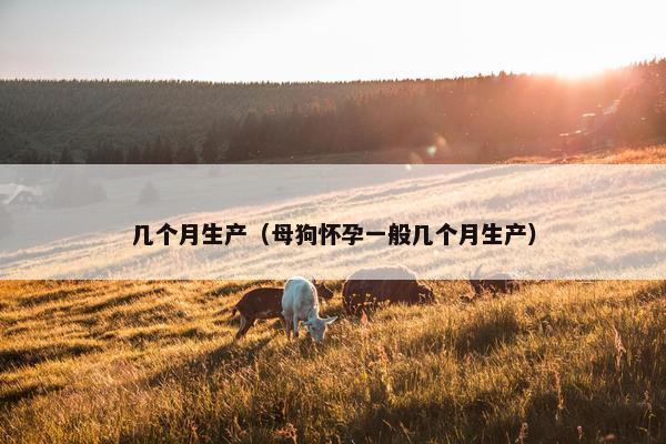 几个月生产（母狗怀孕一般几个月生产）