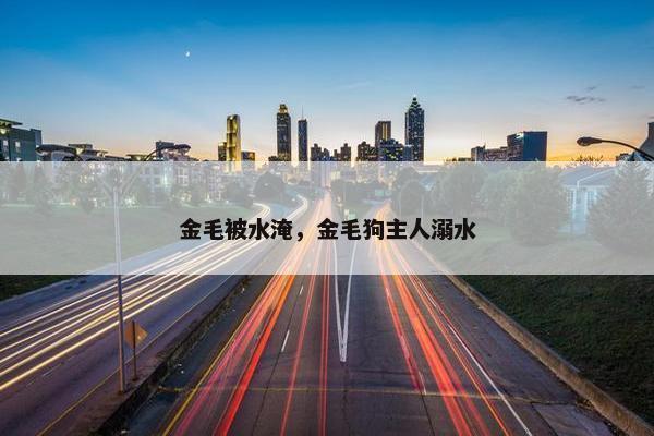 金毛被水淹，金毛狗主人溺水