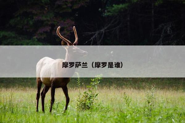 摩罗萨兰（摩罗是谁）
