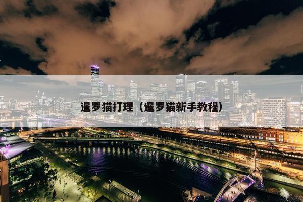 暹罗猫打理（暹罗猫新手教程）
