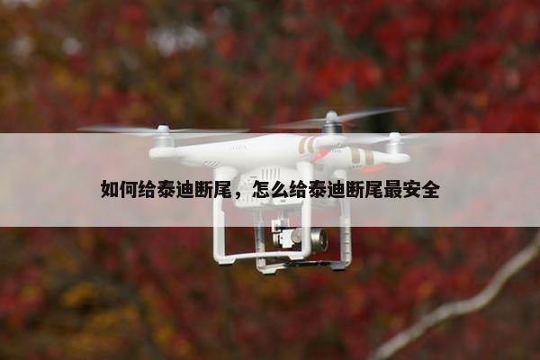 如何给泰迪断尾，怎么给泰迪断尾最安全